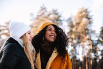 Portrait of happy girlfriends standing in forest during winter — Stock Photo