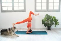Joven hermosa mujer practicando yoga con aquí perro - foto de stock