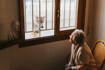 Mulher velha sorri para um cão husky siberiano através da janela — Fotografia de Stock