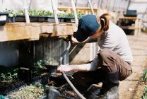Commerciale contadino fiore femminile irrigazione le sue piantine con tubo — Foto stock