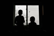 Two children looking out their kitchen window at birds flying by — Stock Photo