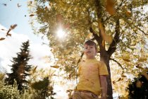 Young boy dressed in yellow playing in leaves in the fall — Stock Photo