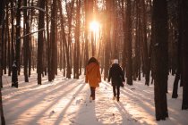 Visão traseira de amigas caminhando no parque coberto de neve durante o inverno — Fotografia de Stock