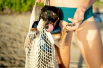 Carino cane con il suo proprietario sulla spiaggia — Foto stock