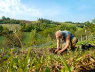 Ajuste granjero senior preparando y rastrillando tierra para calabacín orgánico - foto de stock