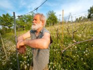Agricoltore anziano che prepara l'annaffiamento delle verdure biologiche — Foto stock