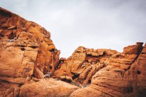 Große Hörnchenschafe in der lebendigen Wüste vor Naturkulisse — Stockfoto