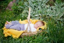 Baby schläft in einem Korb auf dem Gras im Garten — Stockfoto