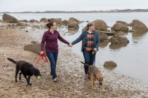 Mismo sexo pareja femenina cogida de la mano paseando perros en Cape Cod playa - foto de stock
