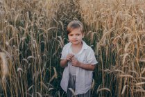 Портрет щасливого 5 років маленького симпатичного хлопчика, в білій сорочці, що стоїть в полі на зеленій траві — стокове фото