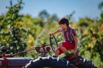 Un niño se sienta en un viejo tractor en un huerto de manzanas con luz dorada - foto de stock