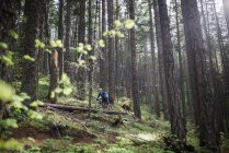 Young pregnant woman cycling in the forest — Stock Photo