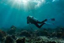 Подводное фото аквалангиста в море — стоковое фото