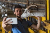 Mann macht ein Selfie am Telefon mit Ziege — Stockfoto