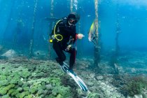 Plongeur explorant l'océan clair à Raja Ampat / Indonésie — Photo de stock