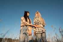 Модные девушки-близнецы позируют в яркой одежде в поле — стоковое фото
