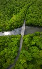 Воздушный вид на реку в лесу — стоковое фото