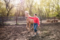 Mujer con sudadera roja liderando un caballo palomino a través del patio de la granja. - foto de stock