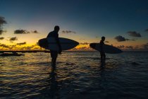 Surfistas en la costa del océano al atardecer - foto de stock