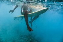 Surfer in Aktion mit Welle auf Naturhintergrund — Stockfoto