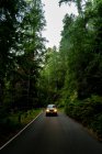 Автомобиль на дороге в лесу на фоне природы — стоковое фото