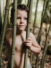 Adorable little kid among bamboo on nature — Stock Photo