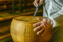 Mestre de laticínios de queijo cortando uma roda de queijo parmesão na leitaria — Fotografia de Stock