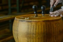 Сирний майстер різання пармезанського сирного колеса на молочному — стокове фото