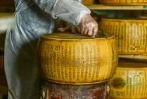 Хозяин сыра режет сырное колесо пармезана в молочном цехе — стоковое фото