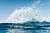 Surfeur manœuvrant, sur la vague, demi-corps, par derrière — Photo de stock