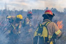 Bombeiros apagando incêndios florestais no fundo da natureza — Fotografia de Stock