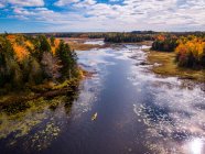 Vista do rio rodeado de árvores de outono e grama — Fotografia de Stock