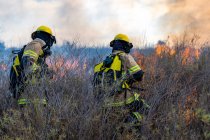 Firefighters put out a fire in the forest — Stock Photo
