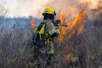Bomberos apagando incendios forestales - foto de stock
