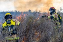 Bomberos apagan fuego en el bosque - foto de stock