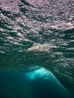 Bela água clara do oceano, subaquática — Fotografia de Stock