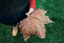 Woman holding a leaf on — Stock Photo