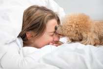 Собака вранці в ліжку лиже дівчині коханку — стокове фото