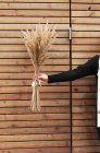 Woman with dry plants — Stock Photo