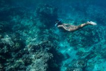 Beautiful underwater woman in red sea water with a scuba diver — Stock Photo