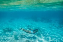 Jeune femme plongée avec tuba dans l'eau — Photo de stock