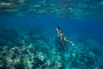 Junge Frau schnorchelt im Meer — Stockfoto