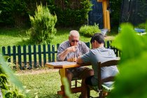 Дедушка и внук играют в шахматы в саду — стоковое фото