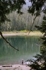 Una splendida vista sul lago in montagna — Foto stock