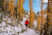Junges Mädchen mit Rucksack spaziert im Winterwald. — Stockfoto