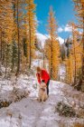 Счастливая молодая женщина в зимней одежде прогуливаясь по снежному лесу, горная собака, сибирская хаски — стоковое фото