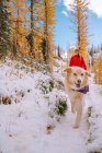 Perro está jugando el spaniel en el bosque de invierno - foto de stock