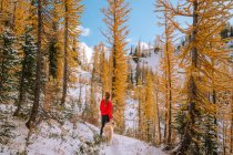 Молода жінка з рюкзаком ходить на зимовому лісі — стокове фото