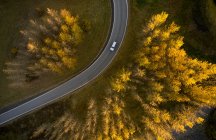 Vue par drone d'une voiture circulant sur une chaussée asphaltée entourée d'arbres jaunes d'automne poussant dans les bois de Reykjavik — Photo de stock