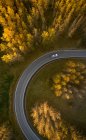 Drone view of car driving on curvy asphalt road going through trees covered with dry yellow foliage in woodland in Reykjavik — Stock Photo